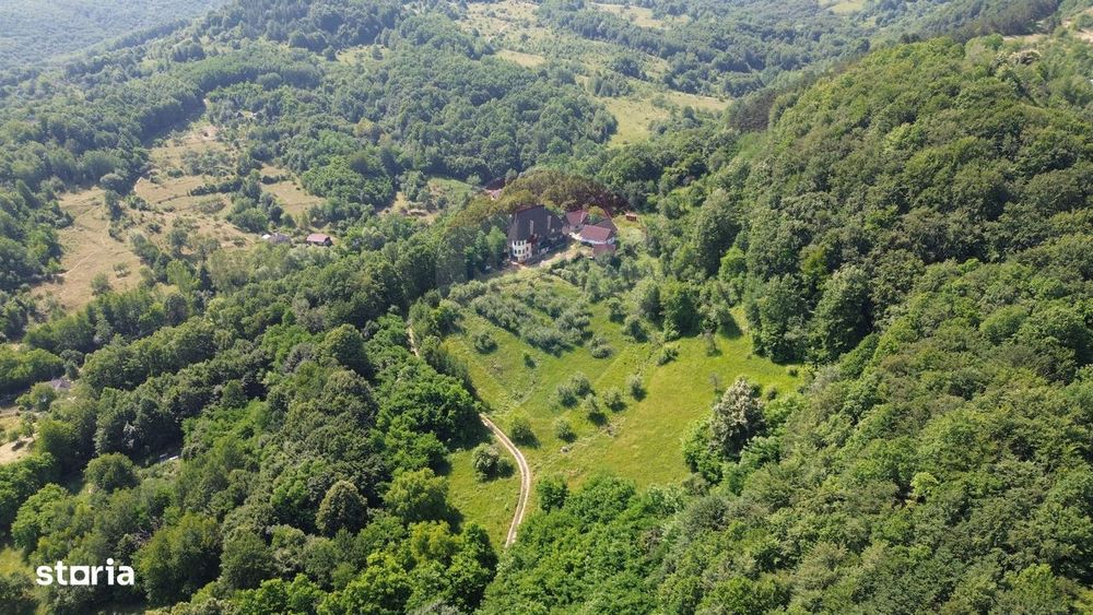 Castel de Vanzare IN MARAMURES