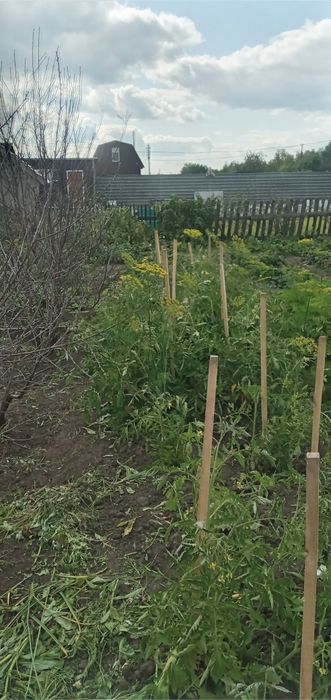 Продам дачу в обществе Борки