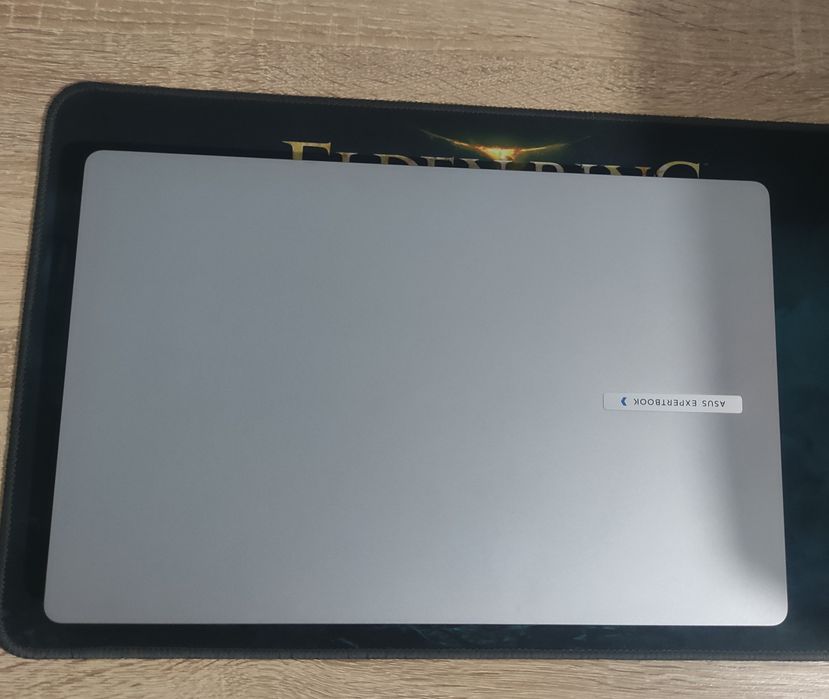 Asus expertbook P1