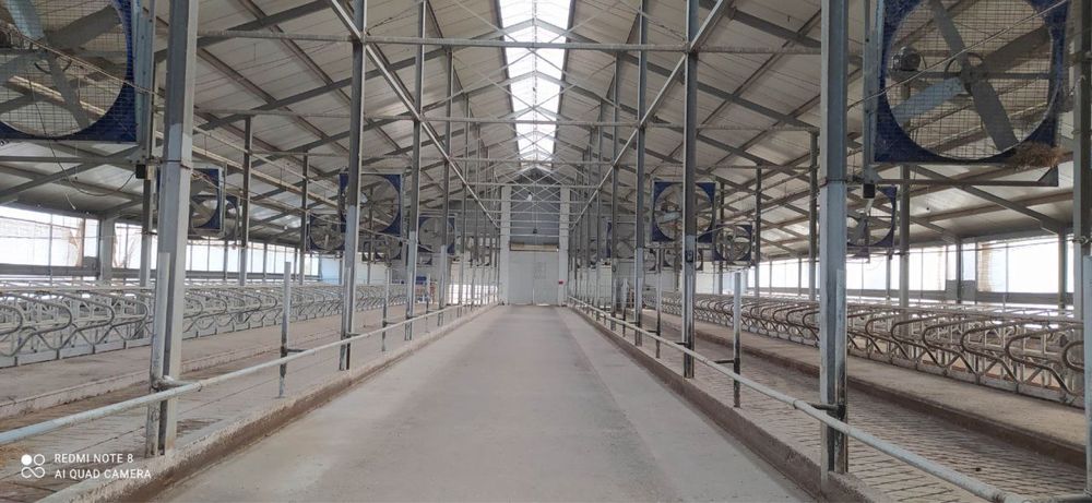 Готовый бизнес! Джиззах ,ферма ,собственник ,со всеми удобствами