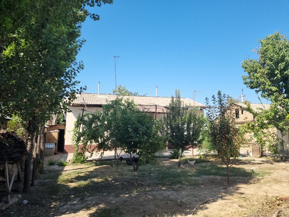 Nazarbek most dan 8-kilametr sro'chna