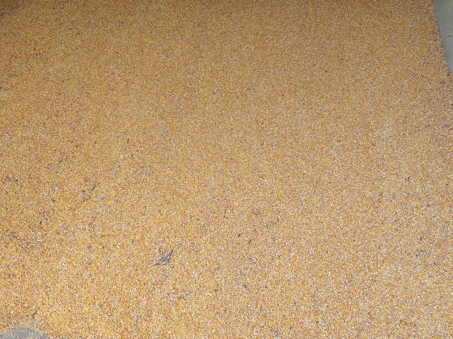 Жито,царевица, слънчоглед и слънчогледово кюспе, шрот