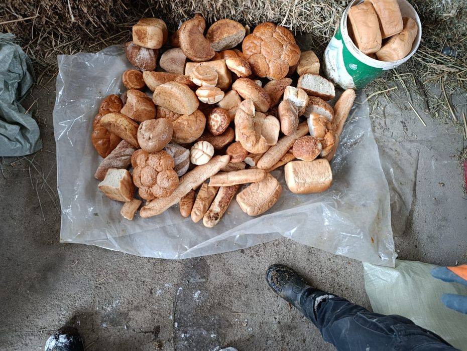 Хлеб разных сортов