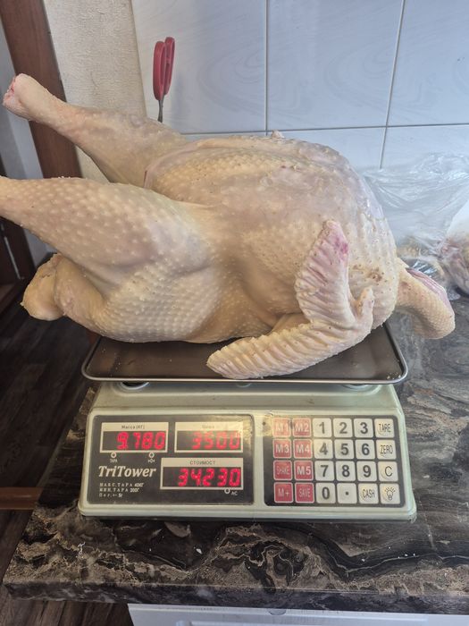 Продам мясо индюшек