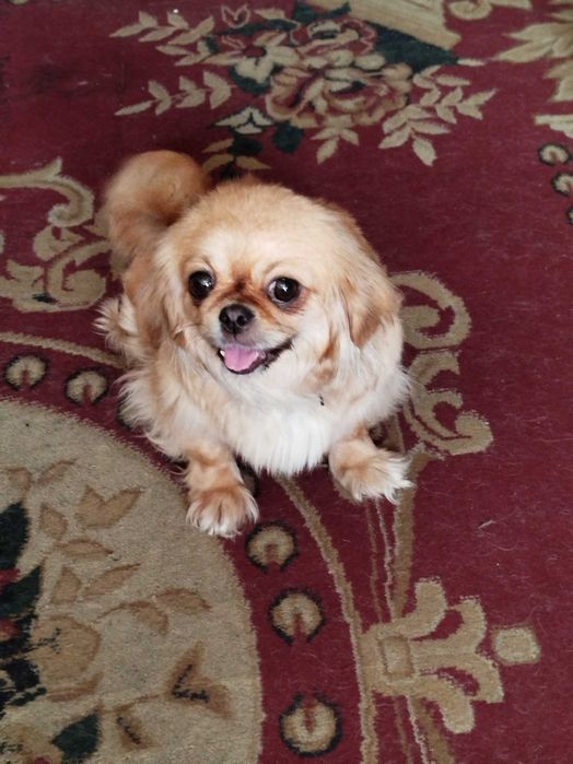 Невеста ищет достойного жениха