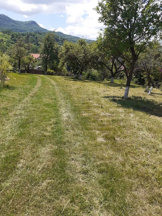 Teren intravilan 1069 mp