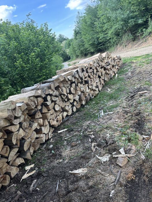 Lemn  de foc esenta tare depozit