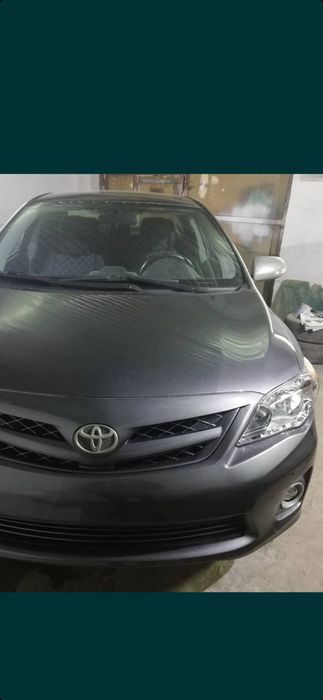 Не дорого костоправ маляр