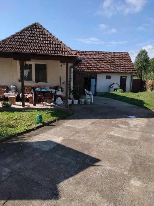 Doua case in temesesti