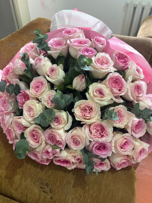 Бүгінгі свежый гул!