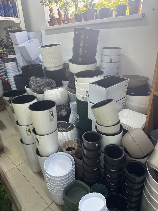 Горшки и кашпо дешевые