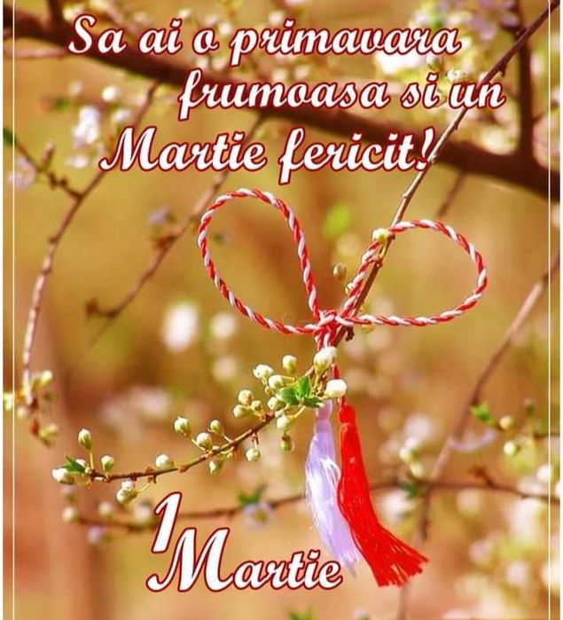 Hota profesională de inox