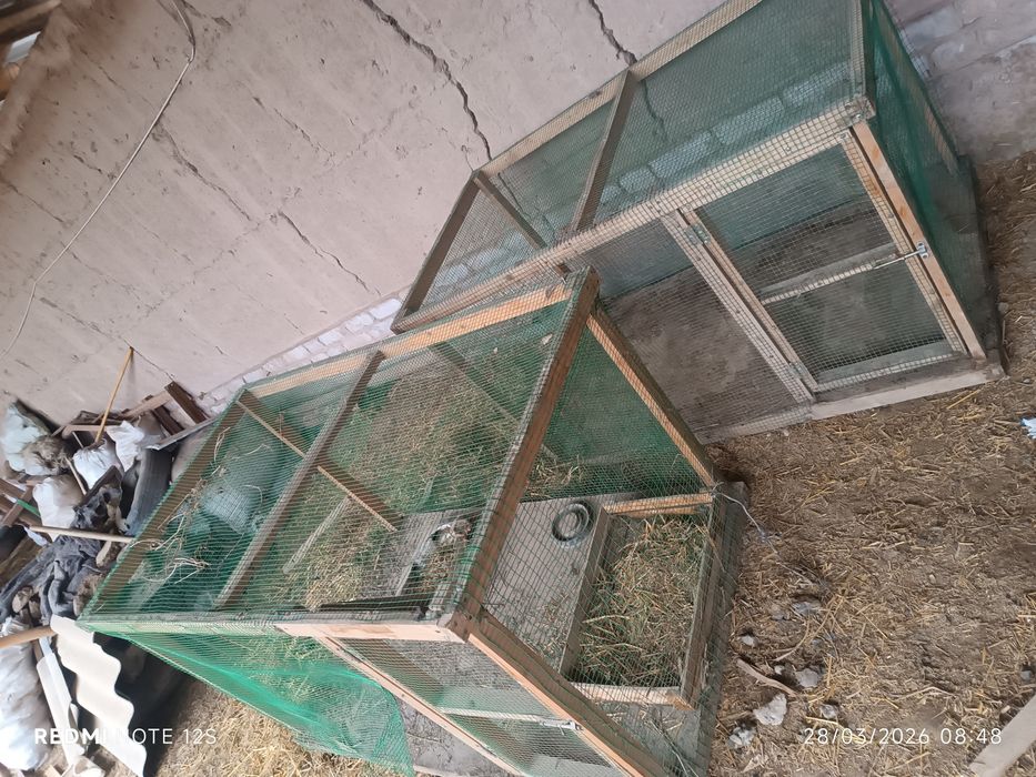 Joʻjalar uchun kataklar sotiladi