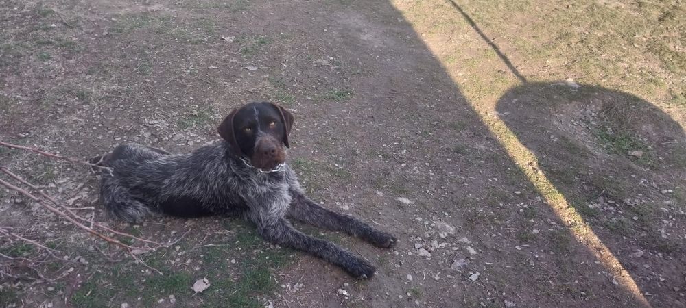 "ВЯЗКА"  Драдхаар