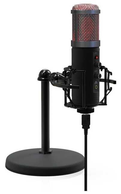 Настольный USB микрофон Ritmix RDM-260 USB Black