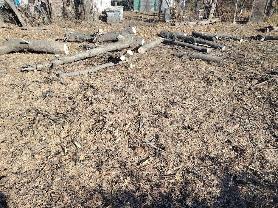 Дрова сухие еее ее