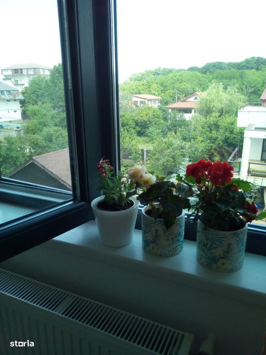 Vede din camera Padurea Rosu la200m, STB 200 m,etj 2 din3,lift,mobilat