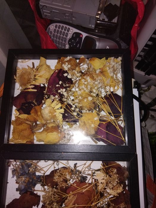 Стенни картини с сухи цветя