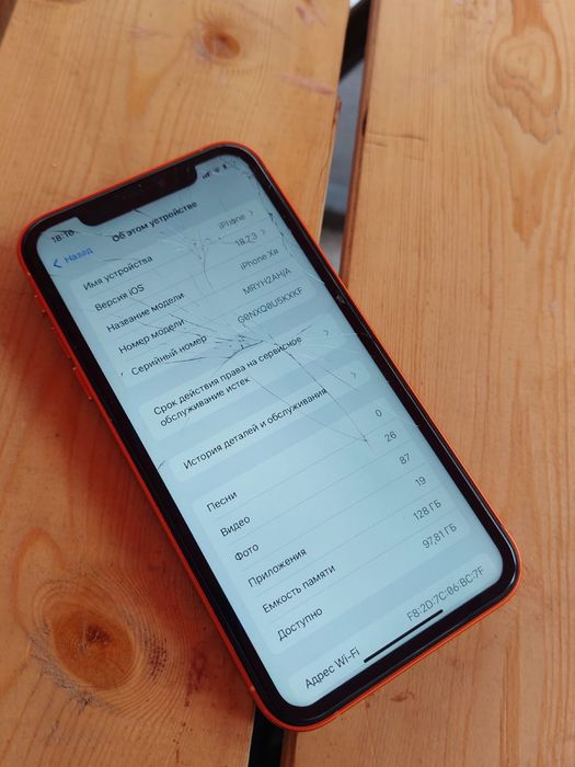 Iphone Xr в корпусе 17про