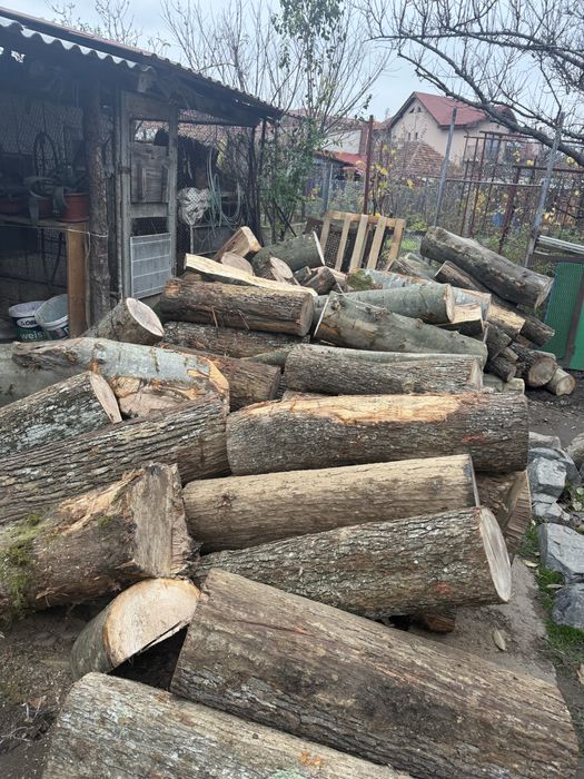 Lemne de foc calitate superioară Verzi/Uscate