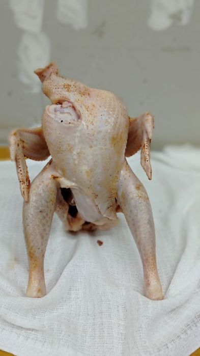 мясо куры домашние