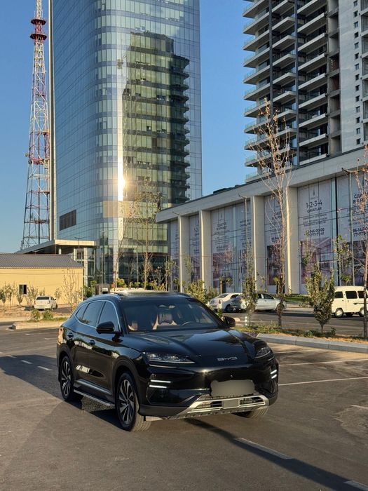 Byd champion 605