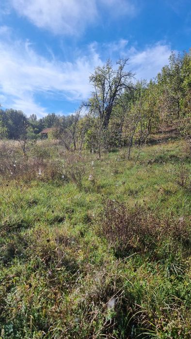 Vând salaș in comuna Sichevita
