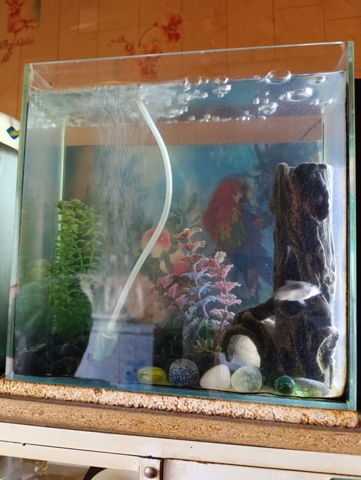 Продам аквариум 6 л