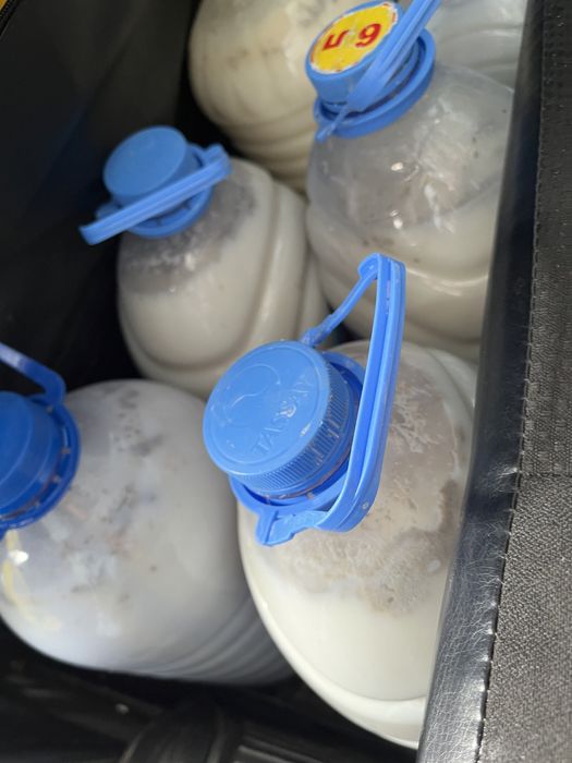 Свежий қумыс оптом 1200тг