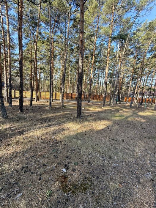 Щучинск. сан. Светлый