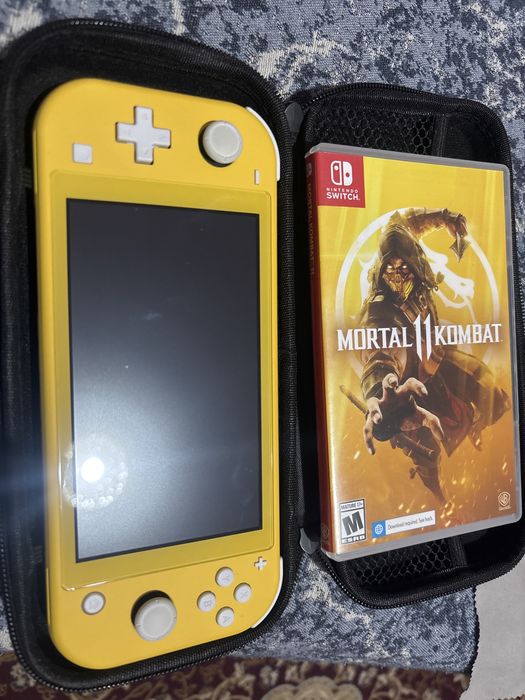 Nintendo switch lite