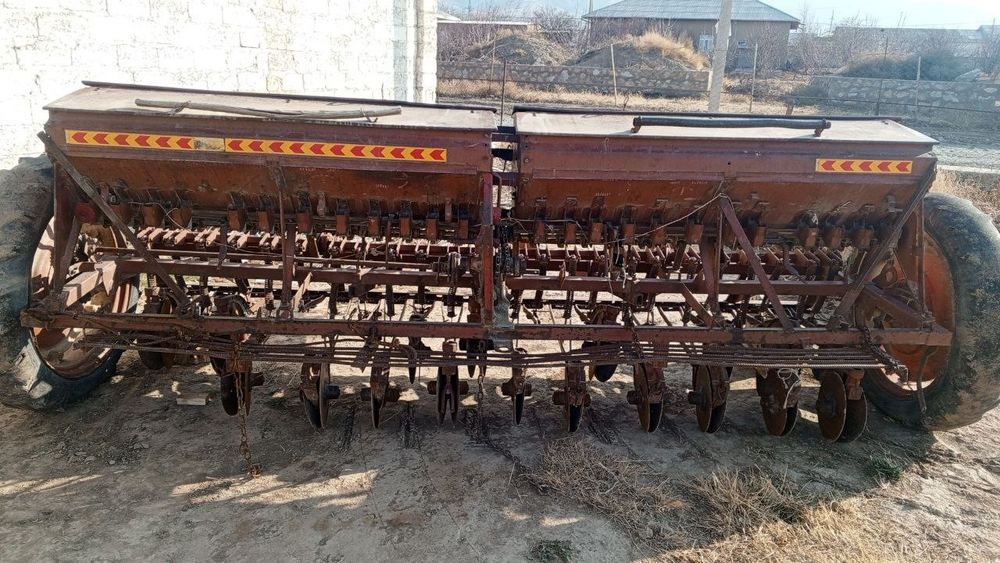 G'alla selka yaxshi holatda