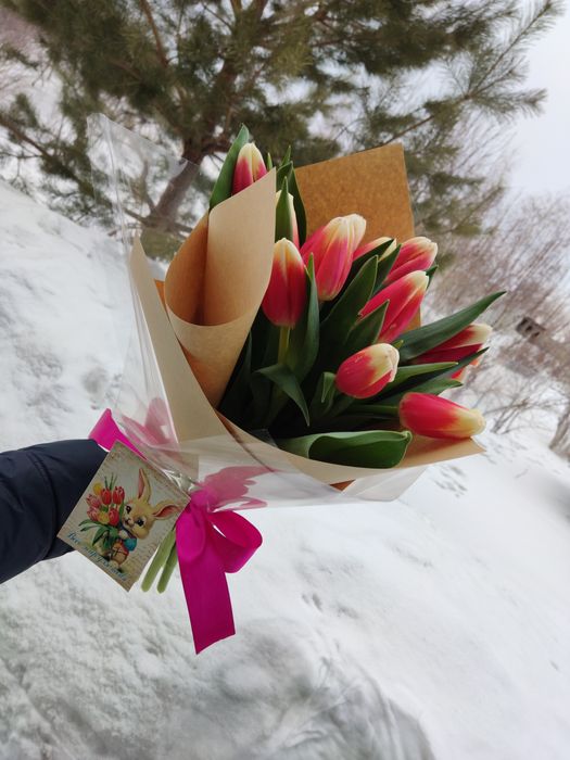Тюльпаны Доставка