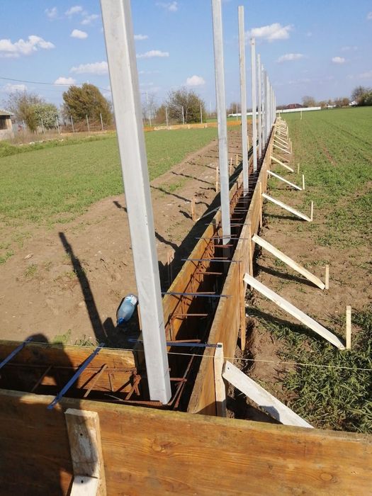 Echipa profesionista