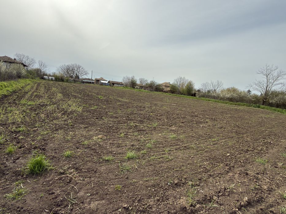 Парцел в регулация