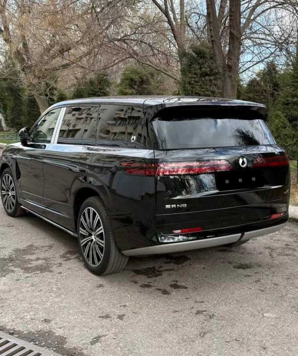 denza n9L maslo rasrochkaga