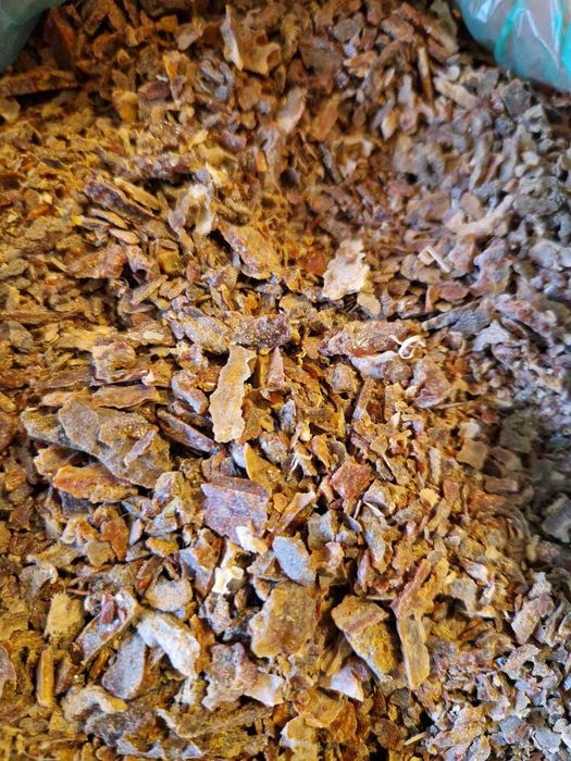 Пчелен клей /Прополис/