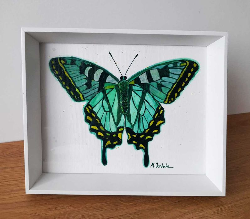 Fluturi pictați manual – acuarelă pe hârtie