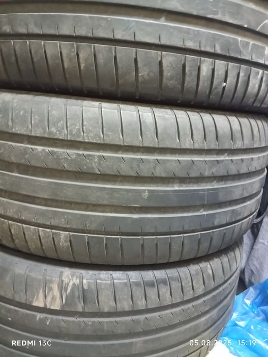 Mishelin  lisyang родной балони