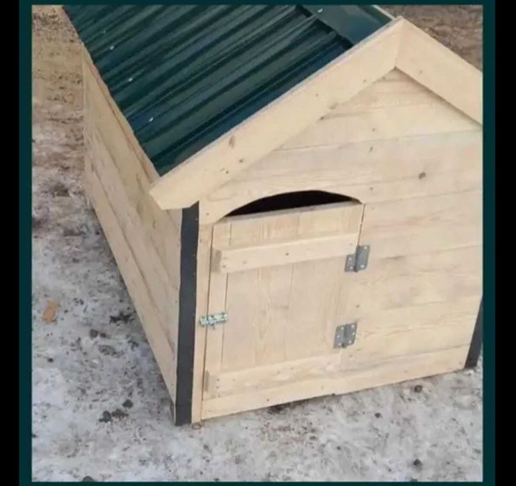 Собачьей    
   будка