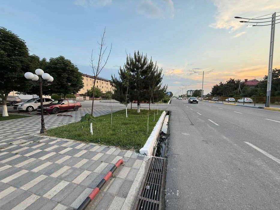 Shodlik 2 to`yxonasi