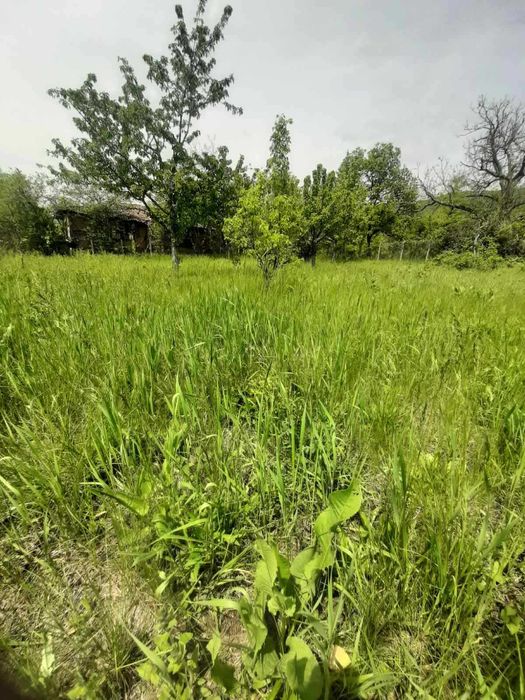 Продава се Парцел в с. Очуша, Област София-област - 735 кв.м за 32 €/кв.м - Снимка #1