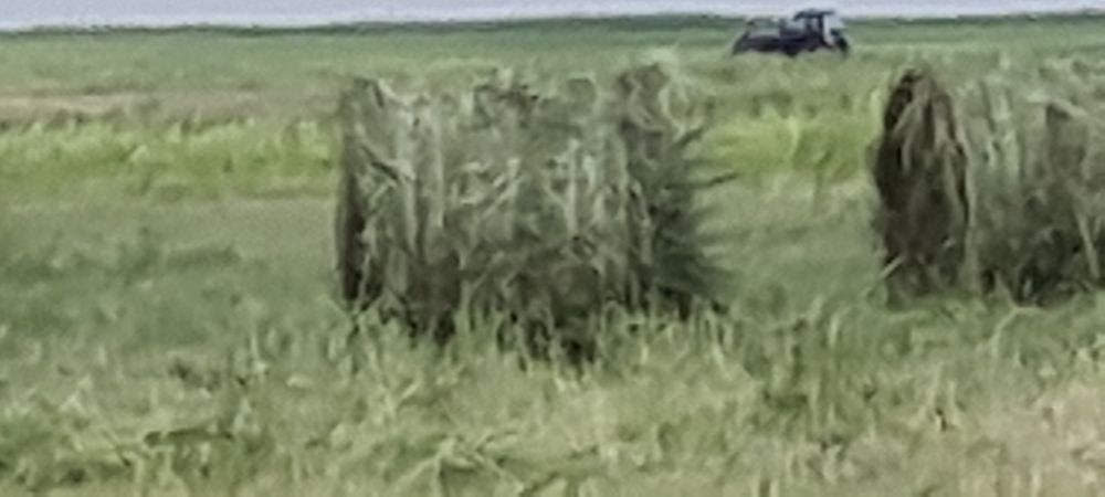 Руллон шоп малга