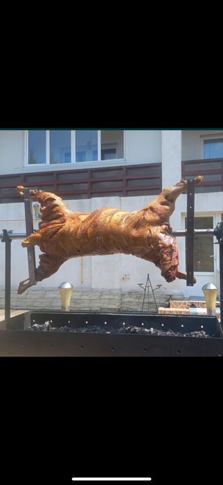 Protap electric pentru evenimente