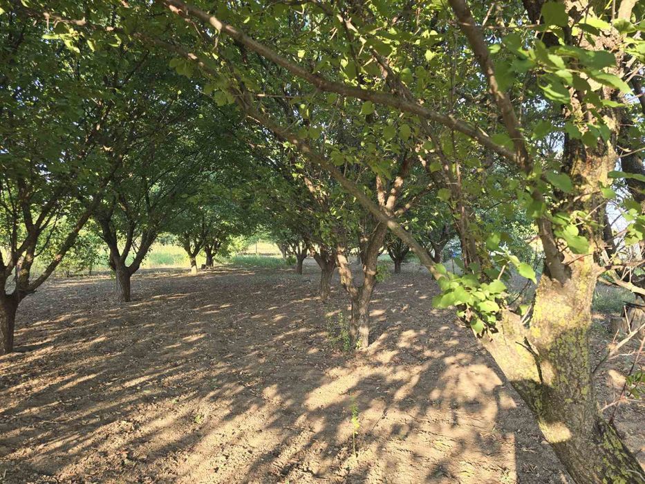 Продава се Парцел в Силистра, Север - 1960 кв.м за 11 €/кв.м - Снимка #2