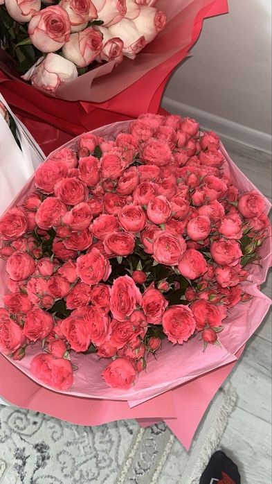 Срочно продам цветы в хорошем состоянии