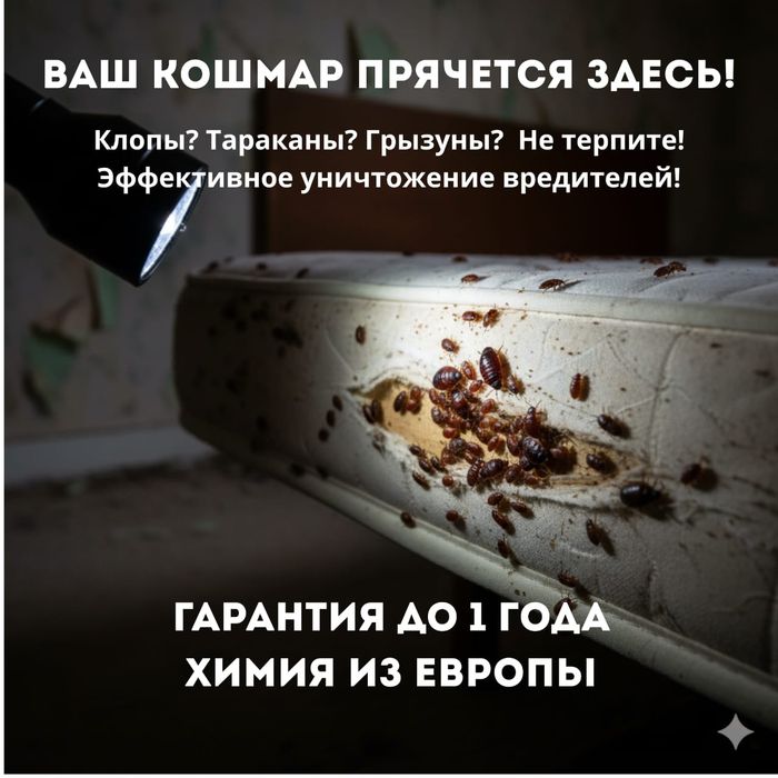 Уничтожим клопов и тараканов за 1 день — гарантия до 12 месяцев