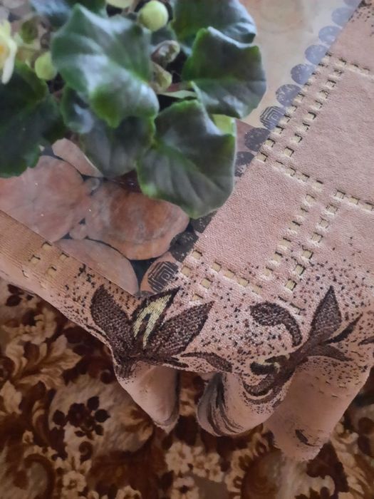 Продаю комнатные цветы