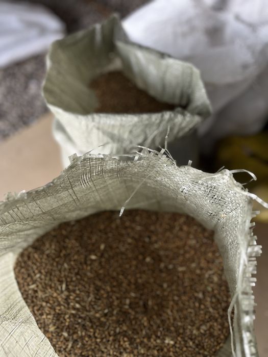 Продам два мешка пщеницы 4 мешка лён