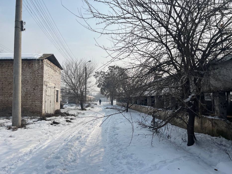 zangotadan 2 gektar yer sotiladi